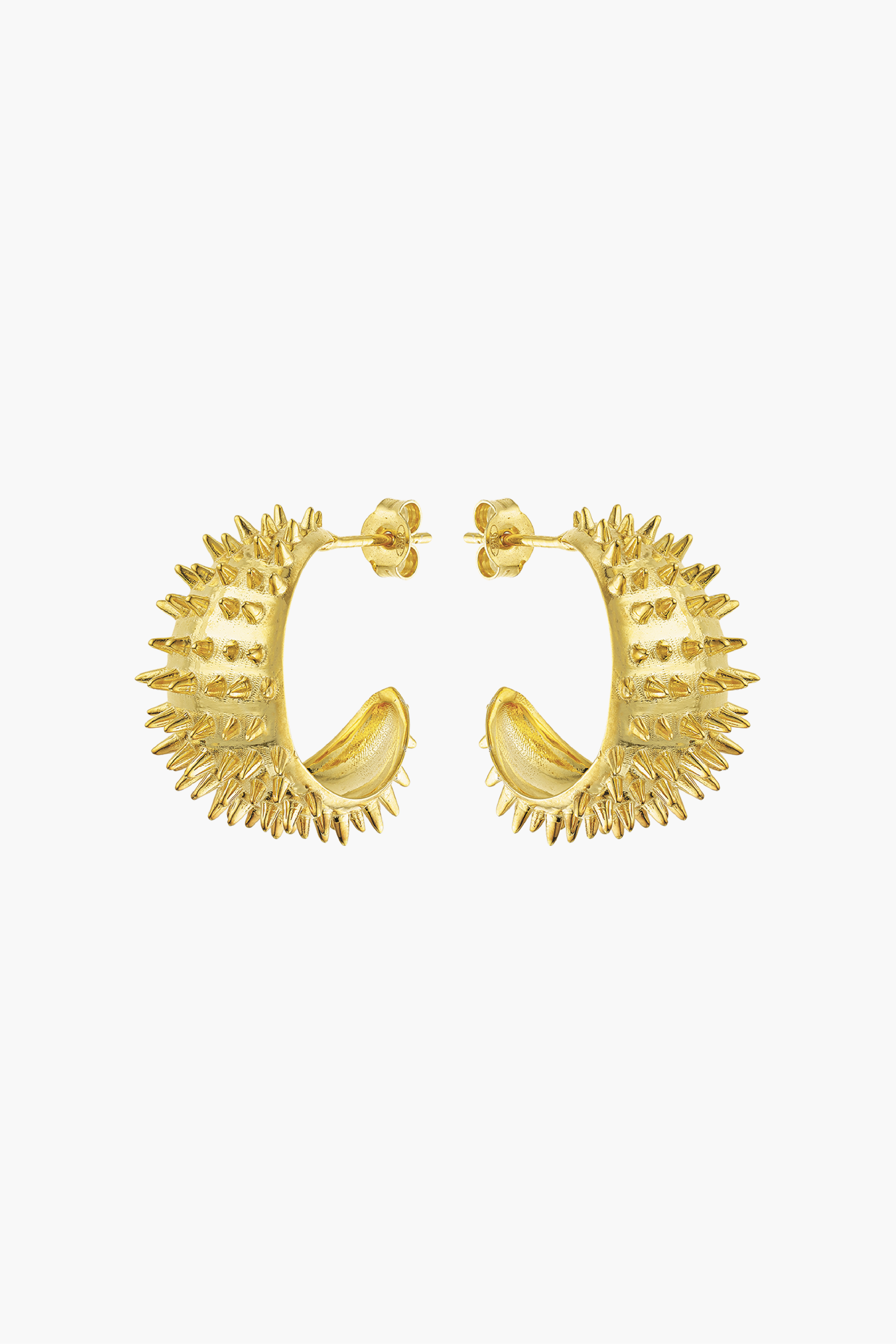 Ahinos Spike Earrings